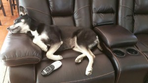 20160605_145340_resized